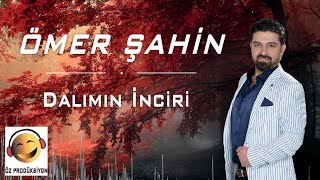 Ömer Şahin - Dalımın İnciri Resimi