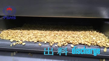 Frying fava bean (broad bean)｜油炸蠶豆生產線｜Tsunghsing(TSHS)