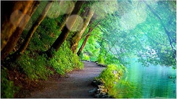 Nature Live wallpaper - Animated background wallpapers loops videos