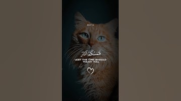 قران كريم سورة هود ولا تركنوا الي الذين ظلموا الشيخ ياسر الدوسري #quran #قرآن #قران_كريم