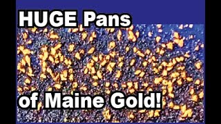 Huge Pans of Maine Gold! / Swift River/ Coos Canyon/ Byron Maine