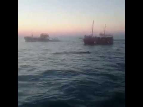Rovinj kit od 12 metara