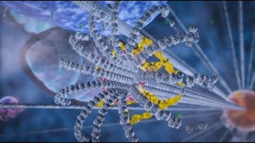 Cell complexity animation from Expelled - No Intelligence Allowed