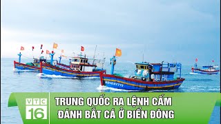 Trung Quốc ra lệnh cấm đánh bắt cá ở biển Đông| VTC16