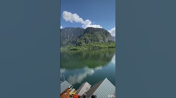 #القارئ_محمد_عبد #التوحيد_والسنة #يارب_فوضت_امري_اليك #القرآن_الكريم #ايات_قرانيه_قصيره #التوحيد