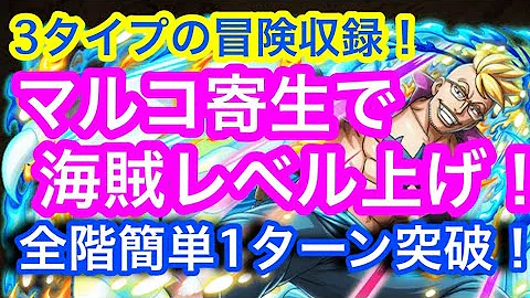 ワンピース トレ クル レベル 上げ