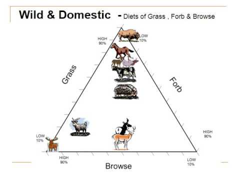 Multiple Species Grazing Diet