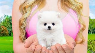 I Adopted The World's Smallest Dog | Full Movie