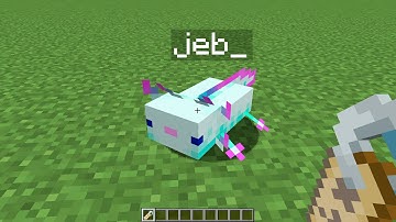 I renamed the axolotl to jeb  in minecraft!