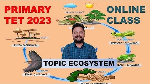 ECOSYSTEM || WB-Primary TET 2023  || EVS Class 1 || ByTS khan Sir