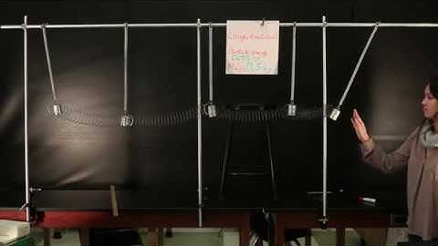 Coupled Simple Harmonic Oscilators Demonstrate Wave Motion | Doc Physics