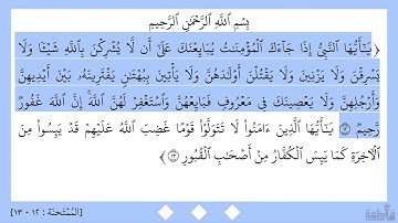 سورة الممتحنة (١٢-١٣)