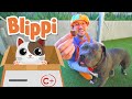 Blippi Visits an Animal Shelter | Learn Animals for Children and The Pet Song