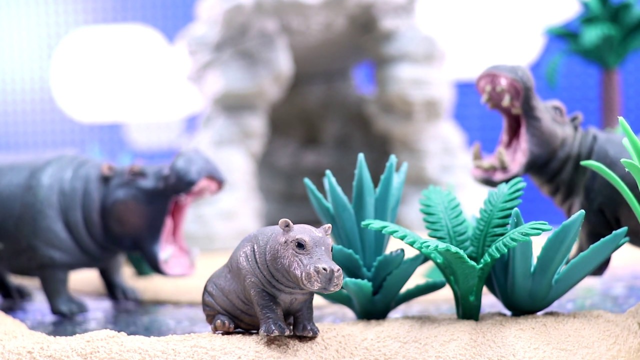 schleich baby hippo