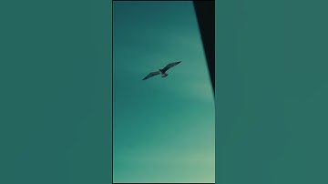 frosty morning. Lumix gx80 #cinematic #lumix #colorgrading #cinematography #lumixg80