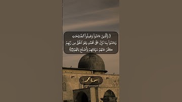 سورة محمد الآية ١ الى ٣ بصوت الشيخ محمد صديق المنشاوي