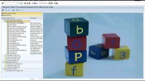 TM BOPF Concepts PART I