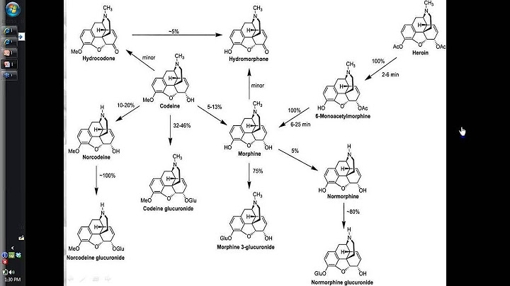 Neuraxial opioid-induced pruritus a review