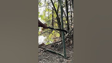 Tôi làm con dao quắm phát rẫy bằng thép óc nhíp chặt cây tre như cắt giấy vậy