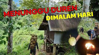 PERJUANGAN NUNGGU DUREN DIMALAM HARI