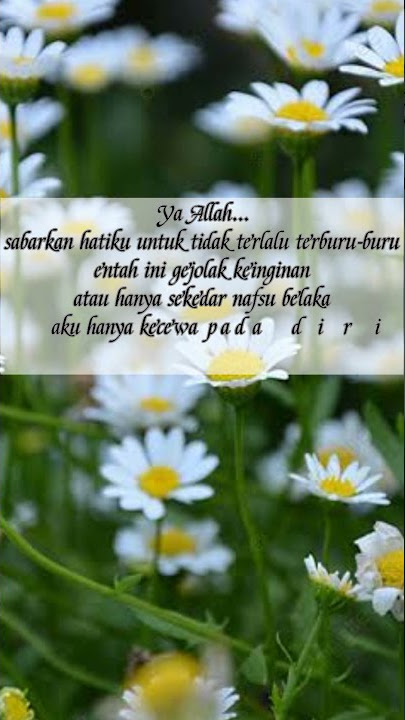 Kata-kata untuk kamu yang sedang menunggu kepastian