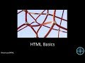 Html basics by kimavicom learn html