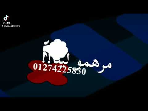 حالات واتس مهرجان كتاكيت وحلمهم يرشقو في السيط لحمو الطيخي