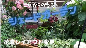 シェードガーデン Youtube