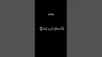 تلاوة خاشعة من سورة التغابن القارئ #رعد_الكردي #سورة_التغابن #قرآن #قرآن_كريم #القران_الكريم #قرأن