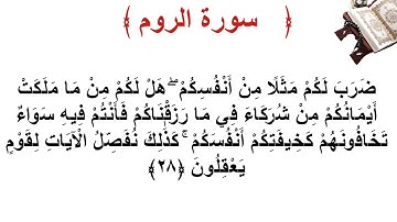 سورة الروم الأية 28