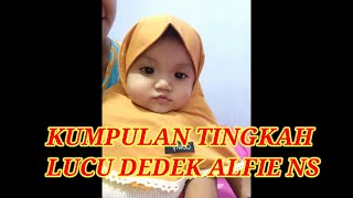 Kumpulan Video Lucu Dek Alfi Ns