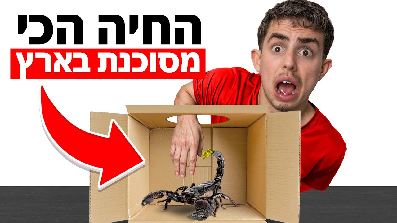 אתגר נחשו מה בקופסא (גרסאת חיות מסוכנות)
