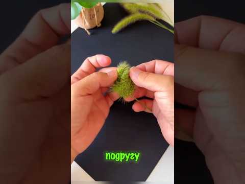 Кольцо из травы 😄😄