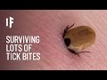 What If You Were Bitten by One Million Ticks?