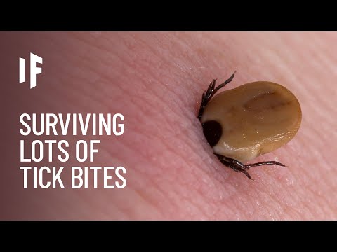 What If You Were Bitten by One Million Ticks?
