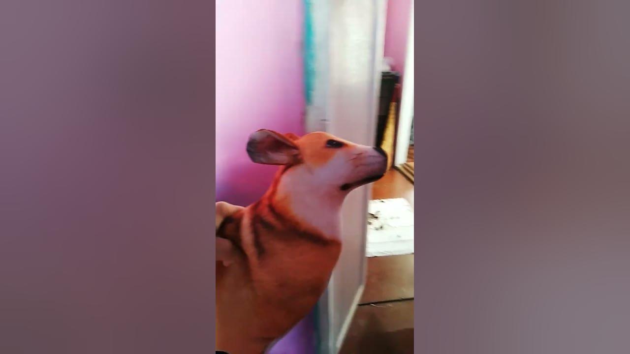 @Блоп ТОП - YouTube