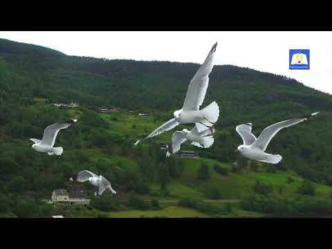 Julita Manik - Di Batas Kekuatanku