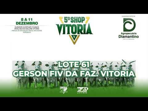 LOTE 61   LFFV 442