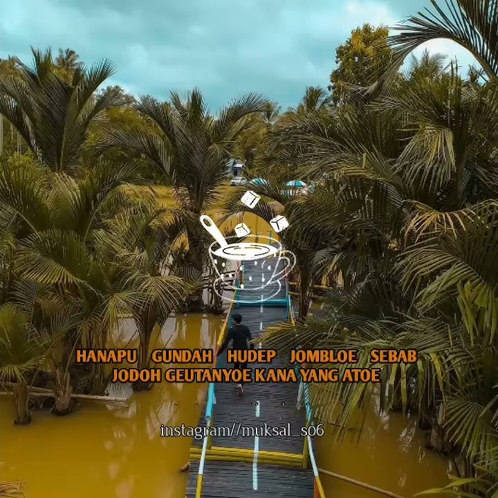 music aceh vidio 30detik - story wa
