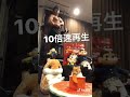 ゴールデンハムスターと10倍速再生のモフモフとムキムキ