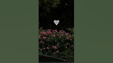 سوره الشعراء -ربي هب لي حكما وألحقني  بالصالحين