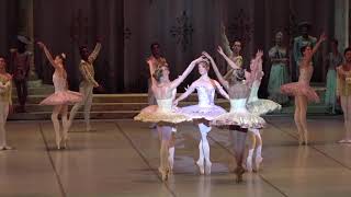 Prologue Only The Sleeping Beauty Joburg Ballet Close Up 1