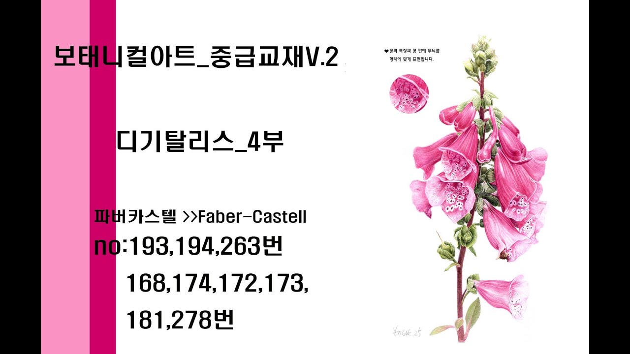 보태니컬아트중급교재V.2 디기탈리스_4부 