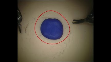 Vision-based virtual fixtures generation for robotic-assisted polyp dissection procedures