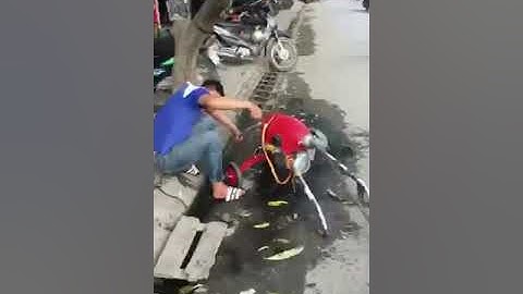 Thông tắc cống tại Thái Bình 0976904032 giá rẻ chuyên nghiệp gọi là có