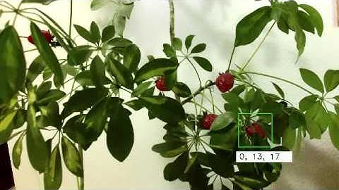 recognition of strawberry with Kinect v2 (inside)