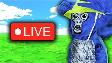 🔴GORILLA TAG LIVE!!!🔴