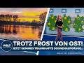 WETTER: Trotz Frost im Osten - Sonne satt die ganze Woche! Traumhafte Sonnenaufgänge angesagt