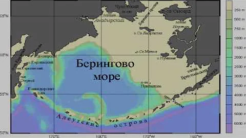 Берингово море (рассказывает океанолог Михаил Флинт)