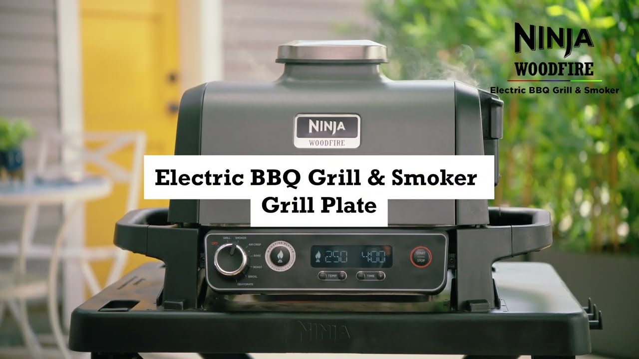 Ninja Woodfire Electric BBQ Grill & Smoker first look